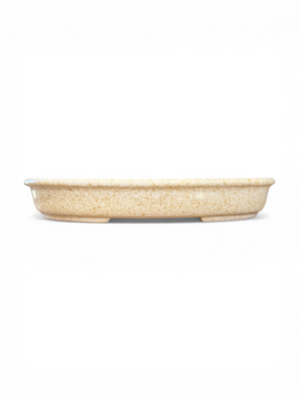 Pot bonsaï ovale (21.5*15.5*h3cm)