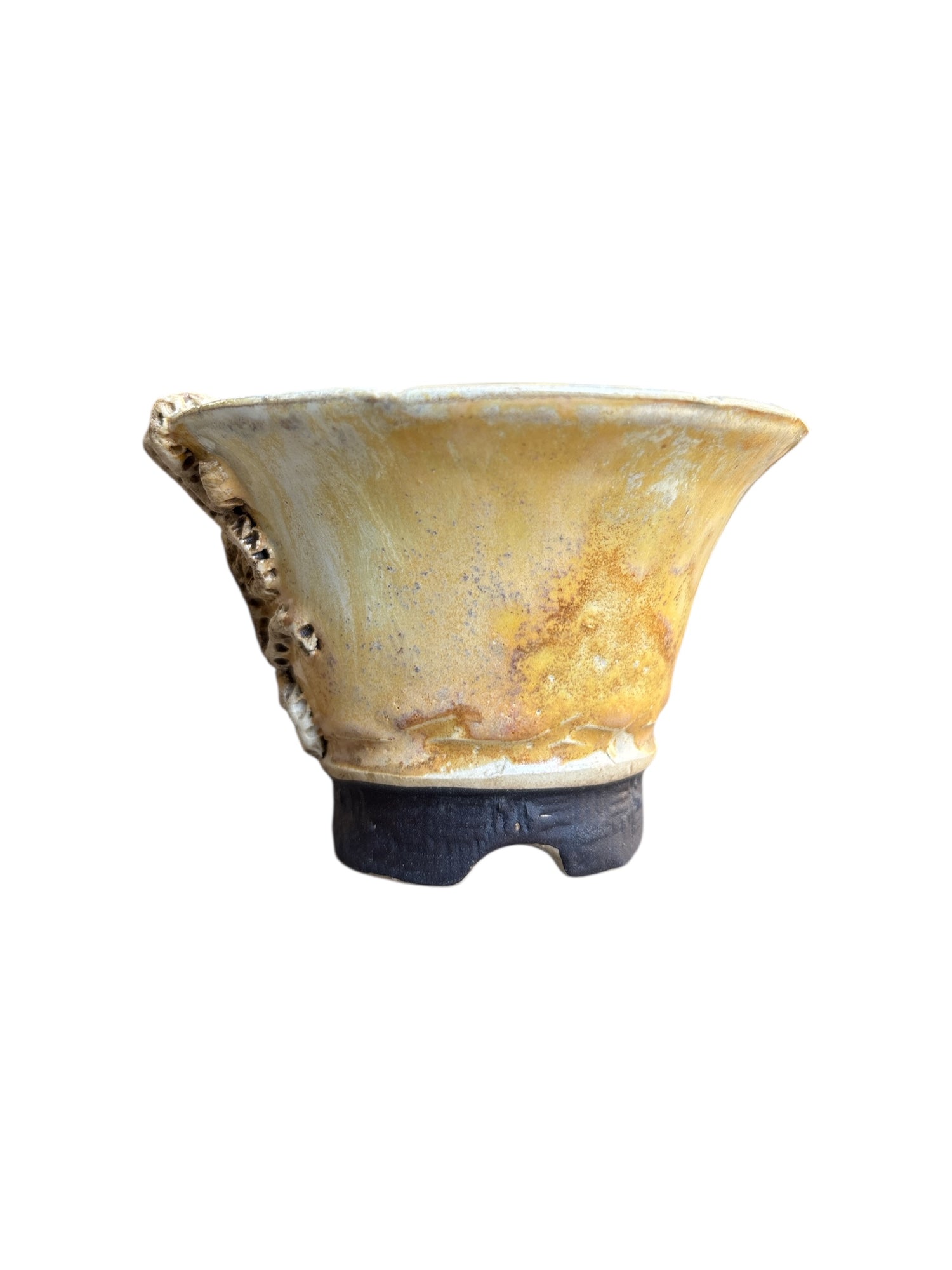 Céramique artisanale Lotus Bonsaï Studio