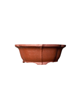 Pot Tokoname Shibakatsu - SHI04