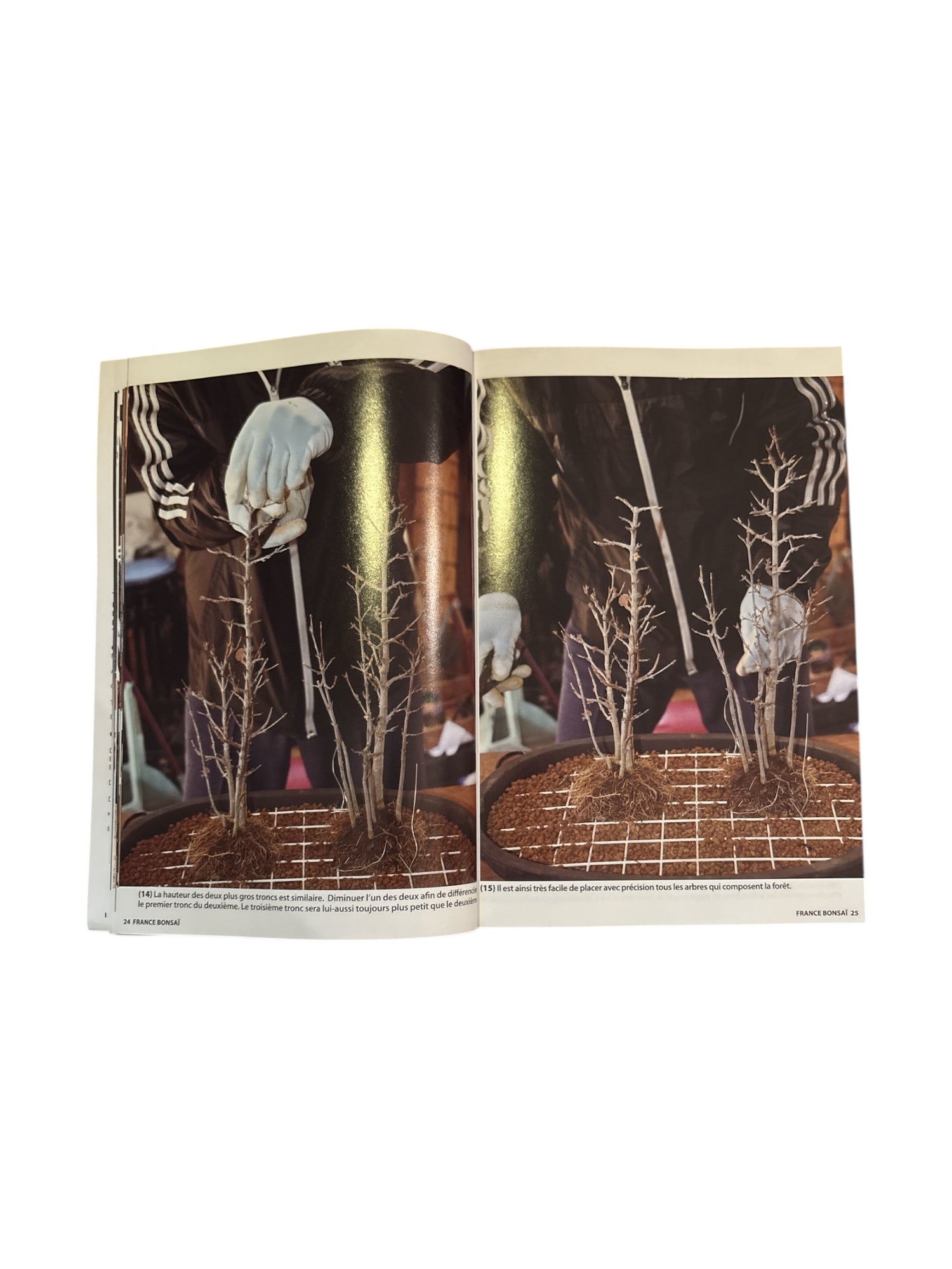 Magazine France Bonsaï - N°166