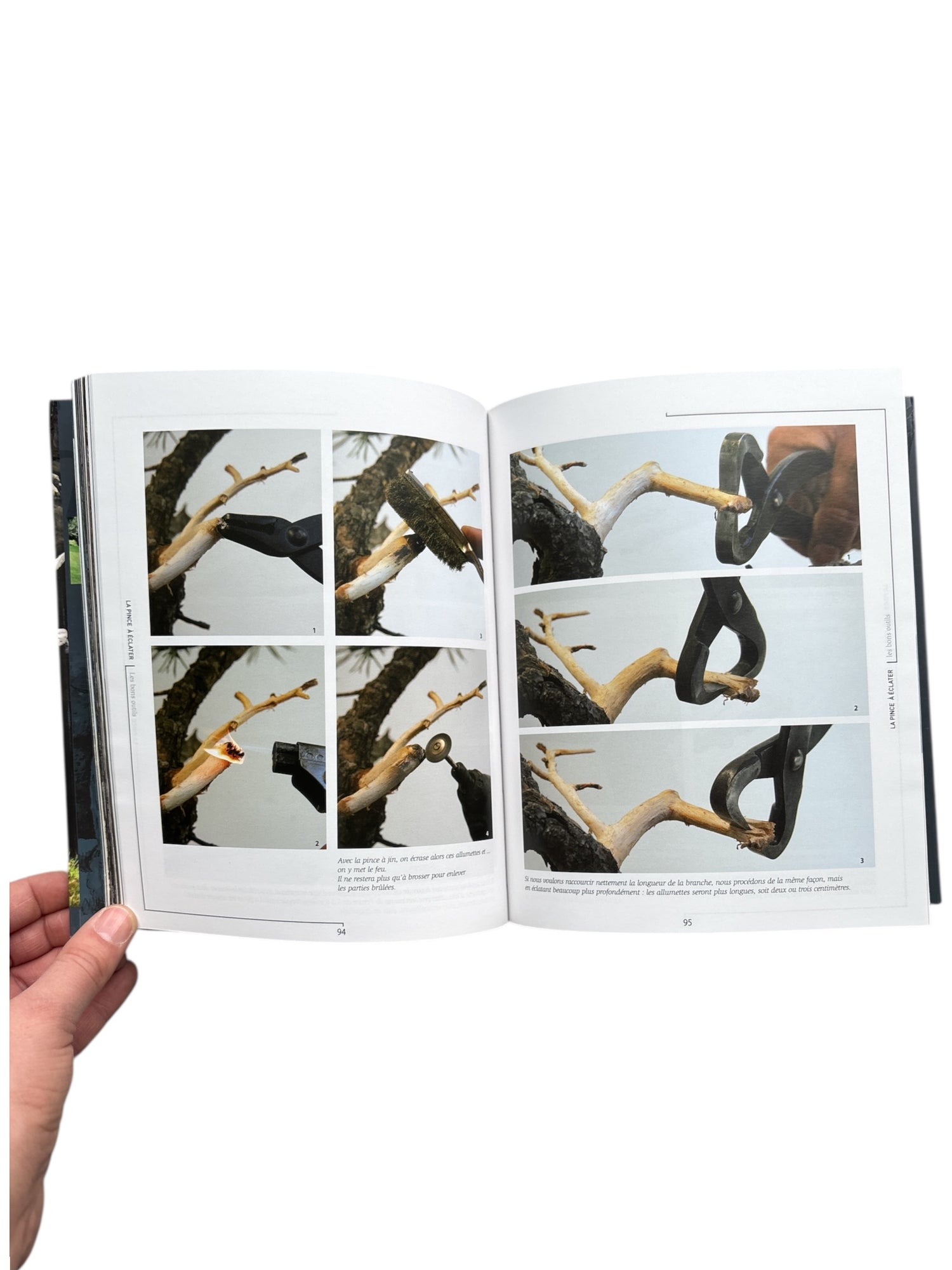 Livre "Les Bois morts de nos Bonsaï" par François JEKER