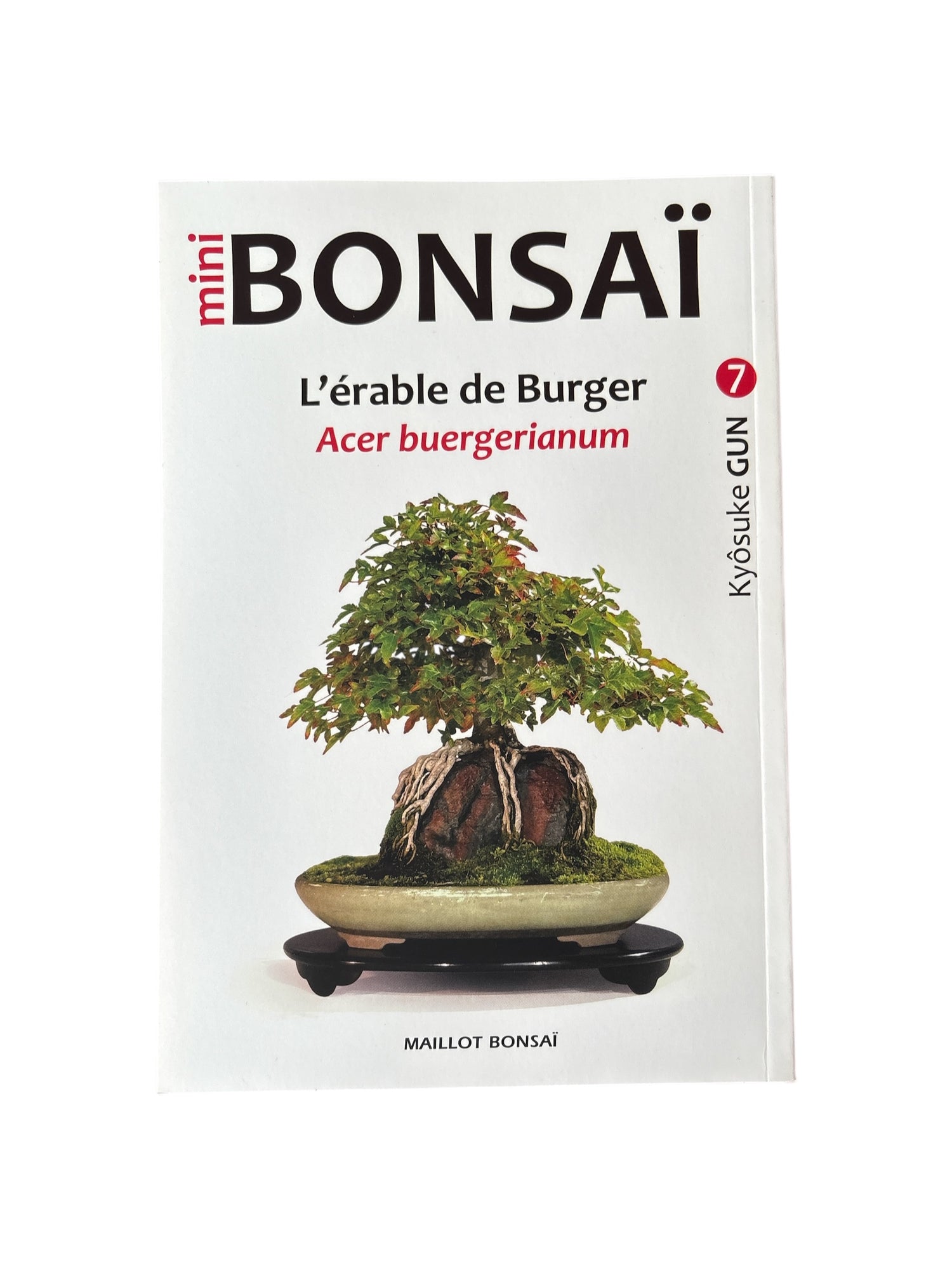 Livre "Mini bonsaï - L'érable de Burger (Acer buergerianum)" par Kyôsuke GUN