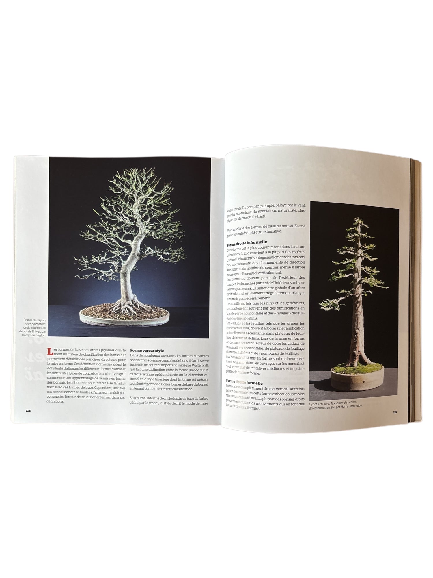 Livre "Les bases du Bonsaï - Les Principes fondamentaux"
