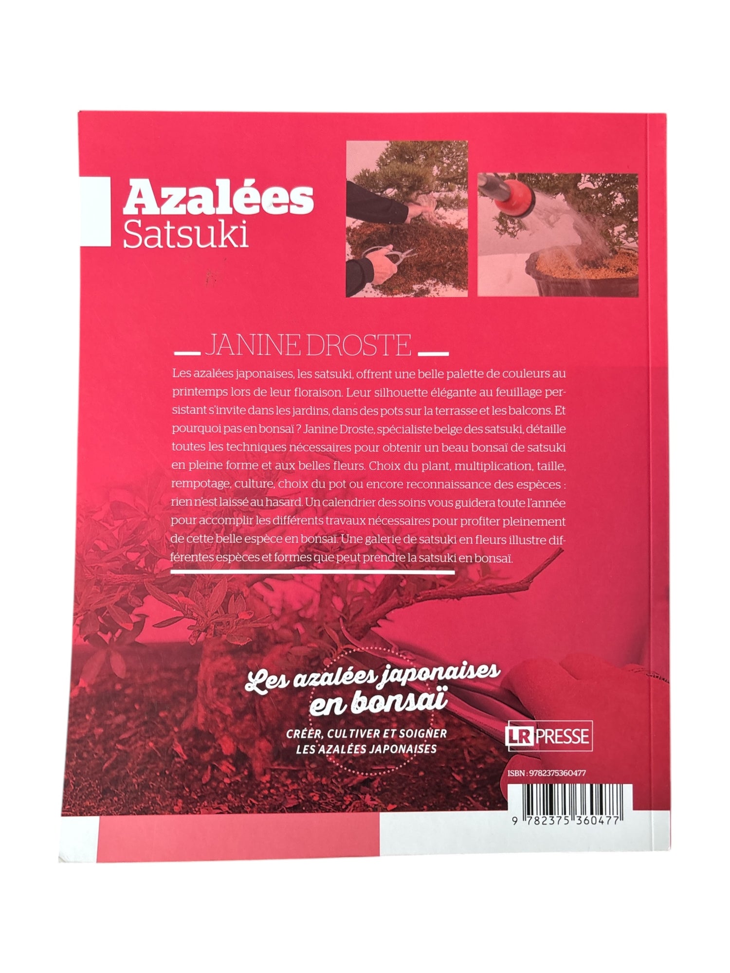 Livre "Azalées Satsuki" par Janine DROSTE