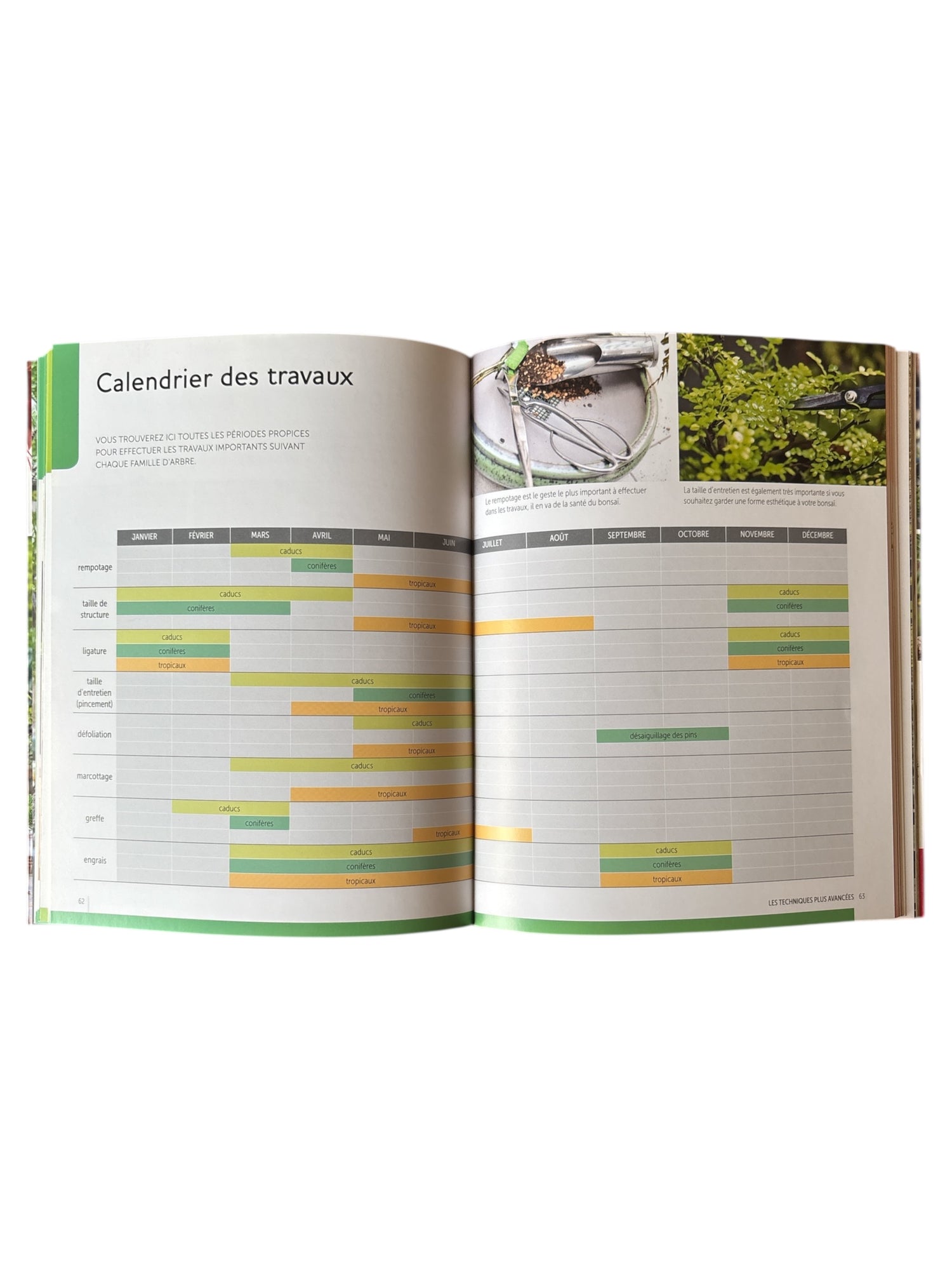 Livre "Bonsaïs - Comment les cultiver facilement"