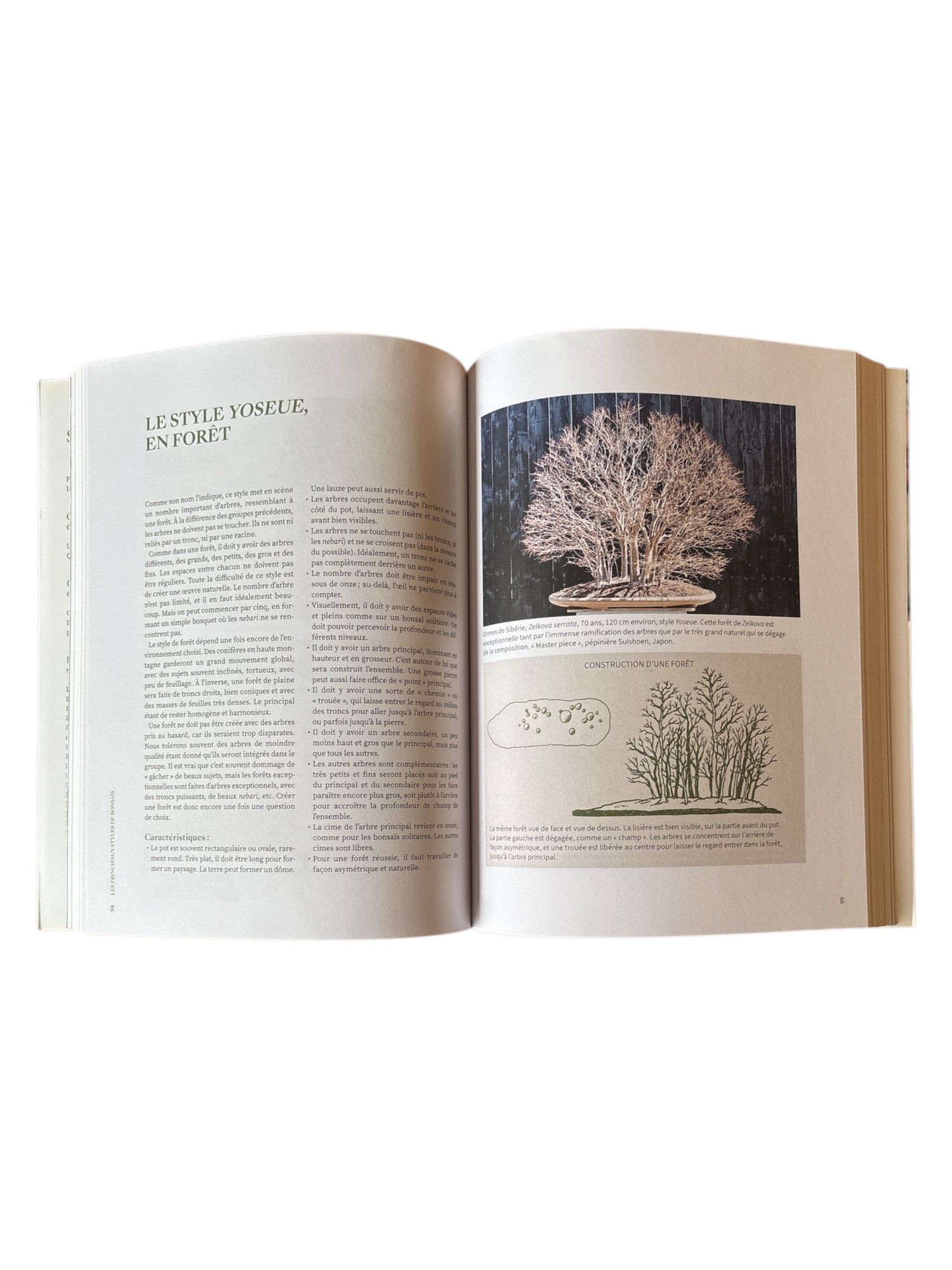 Livre "L'art du Bonsaï" par Léo DI MARIO