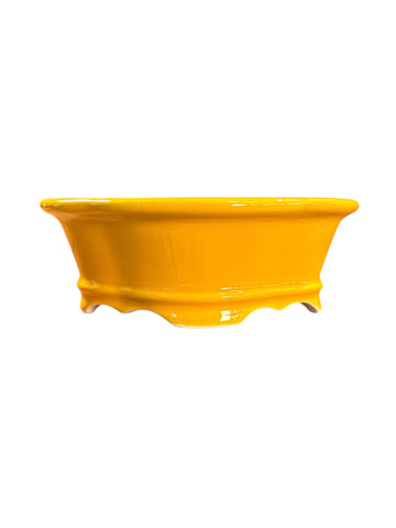 Pot mokko à  bonsaï
