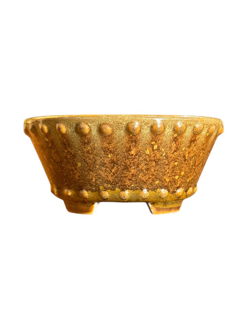 Pot rond bonsaï