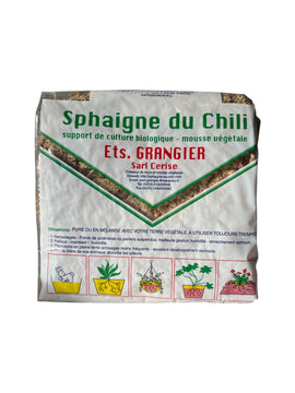 Sphaigne du Chili - 500g