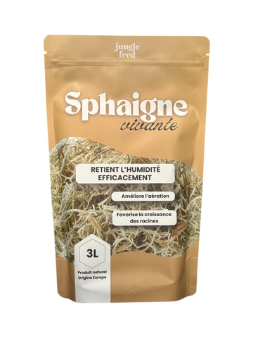 Sphaigne vivante - 3L