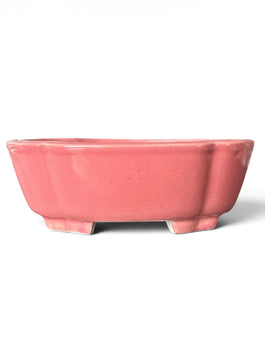Pot Tokoname Shibakatsu - SHI13