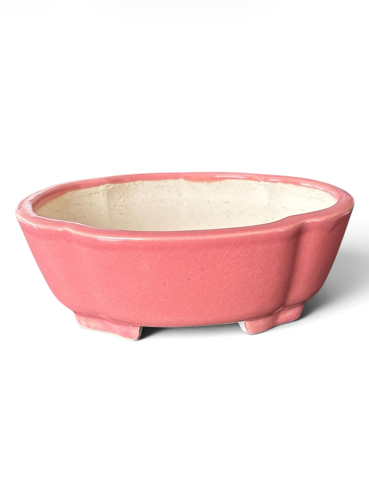 Pot Tokoname Shibakatsu - SHI13