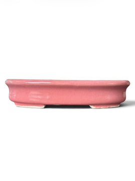 Pot Tokoname Shibakatsu - SHI15