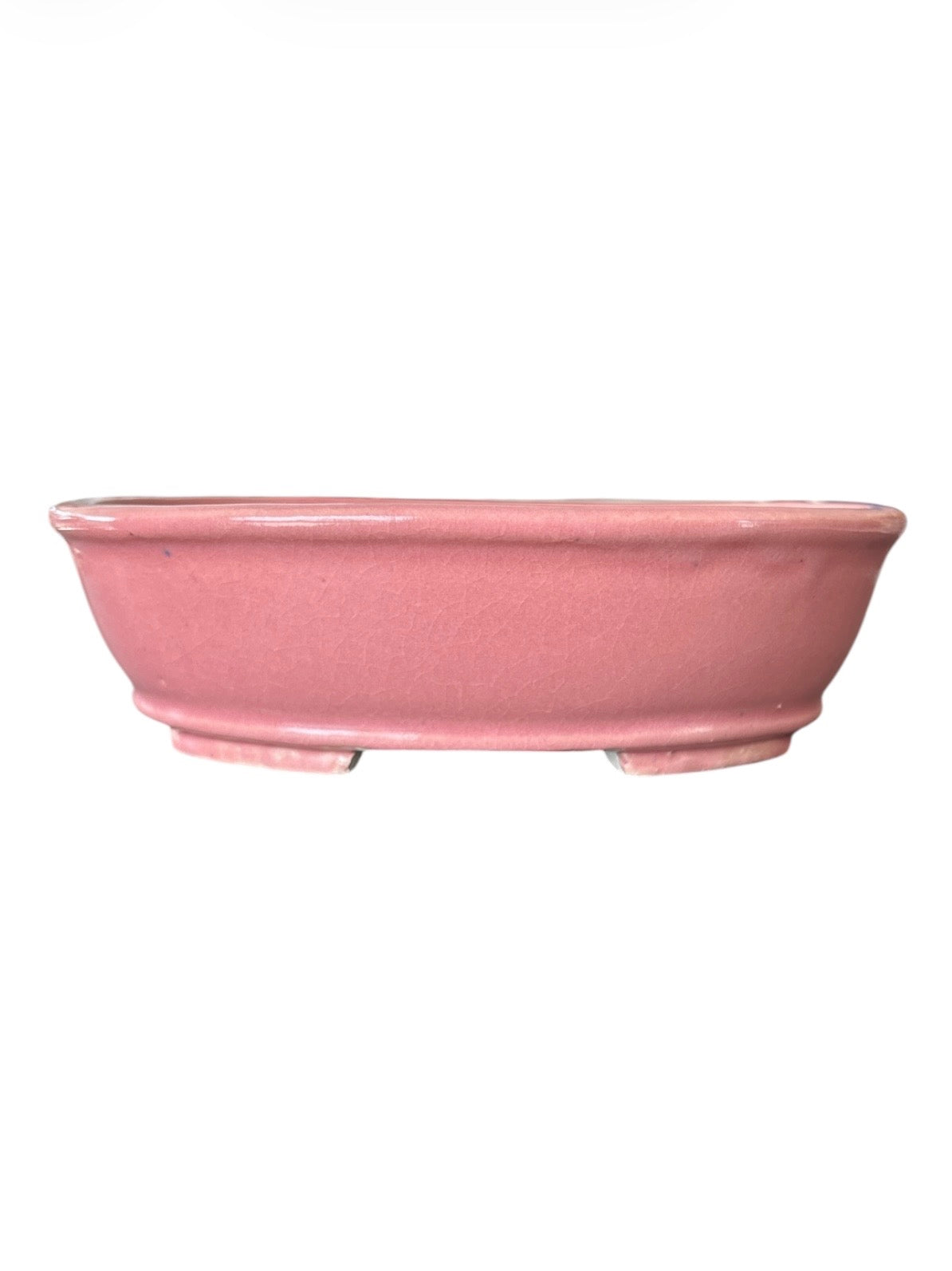 Pot Tokoname Shibakatsu - SHI16