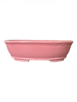 Pot Tokoname Shibakatsu - SHI16