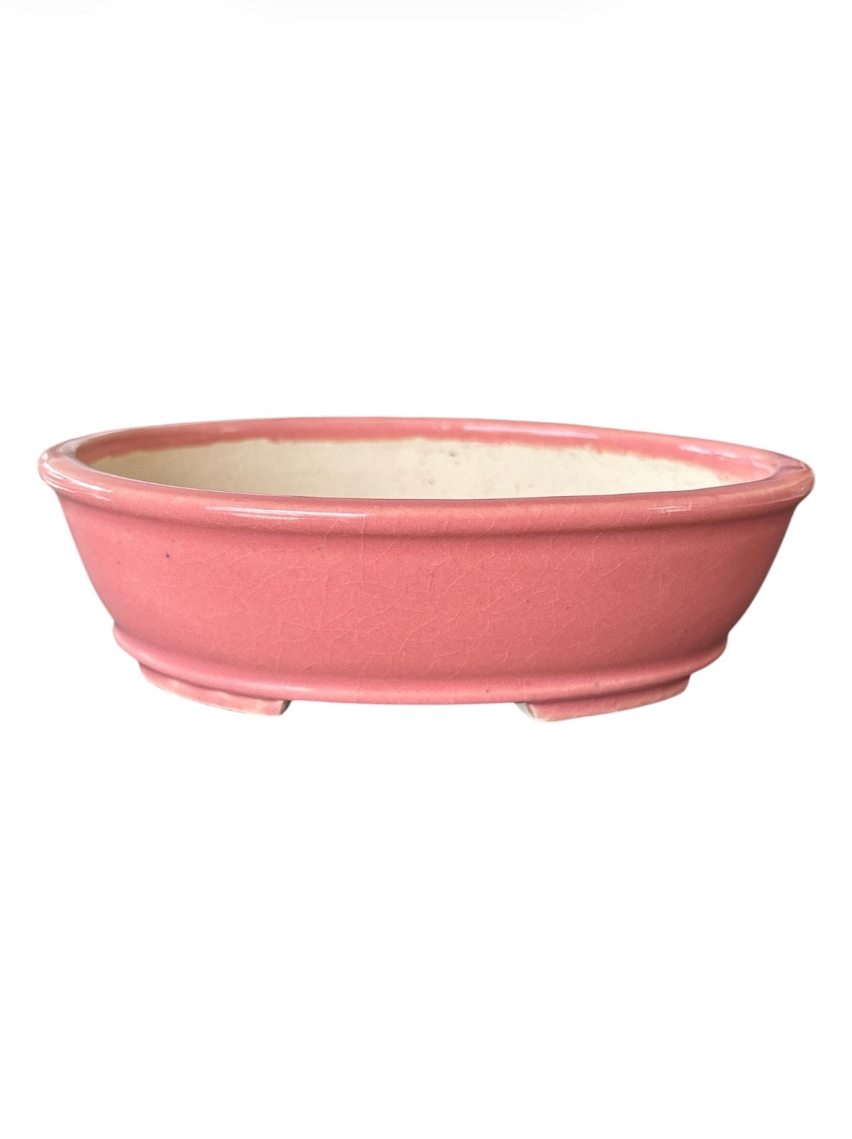 Pot Tokoname Shibakatsu - SHI16