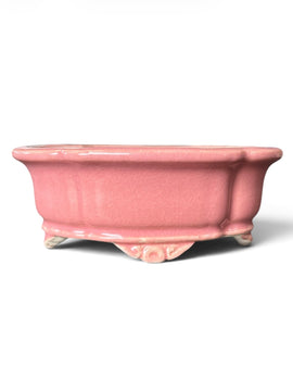 Pot Tokoname Shibakatsu - SHI18