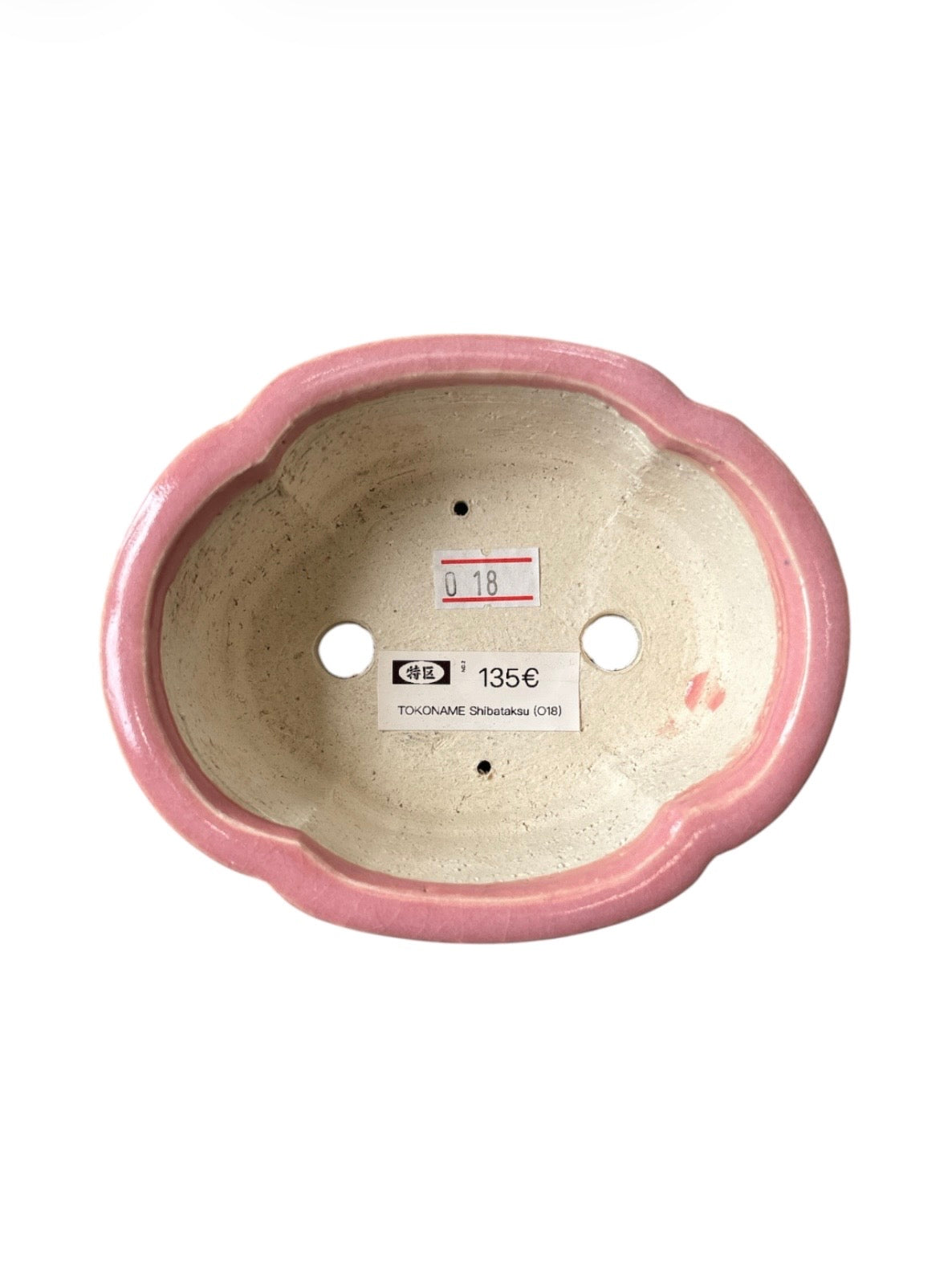 Pot Tokoname Shibakatsu - SHI18