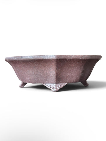 Pot bonsaï mokko (18*15*h5.5cm)