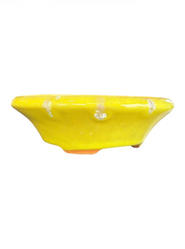 Pot rond (14*h4.5cm)