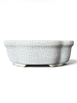 Pot mokko bonsaï (13*9.5*h4.5cm)