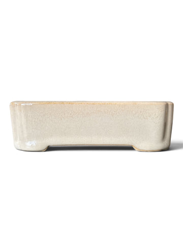Pot rectangulaire (12.5*10.5*h3.5)