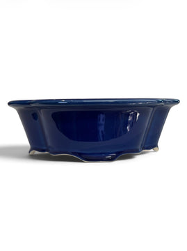 Pot mokko bonsaï (24*19*h7.5cm)