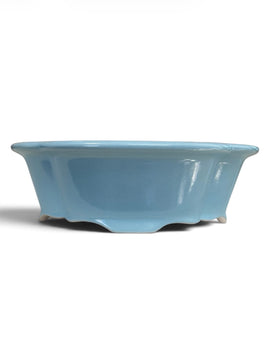 Pot mokko bonsaï (25*20*h7.5cm)