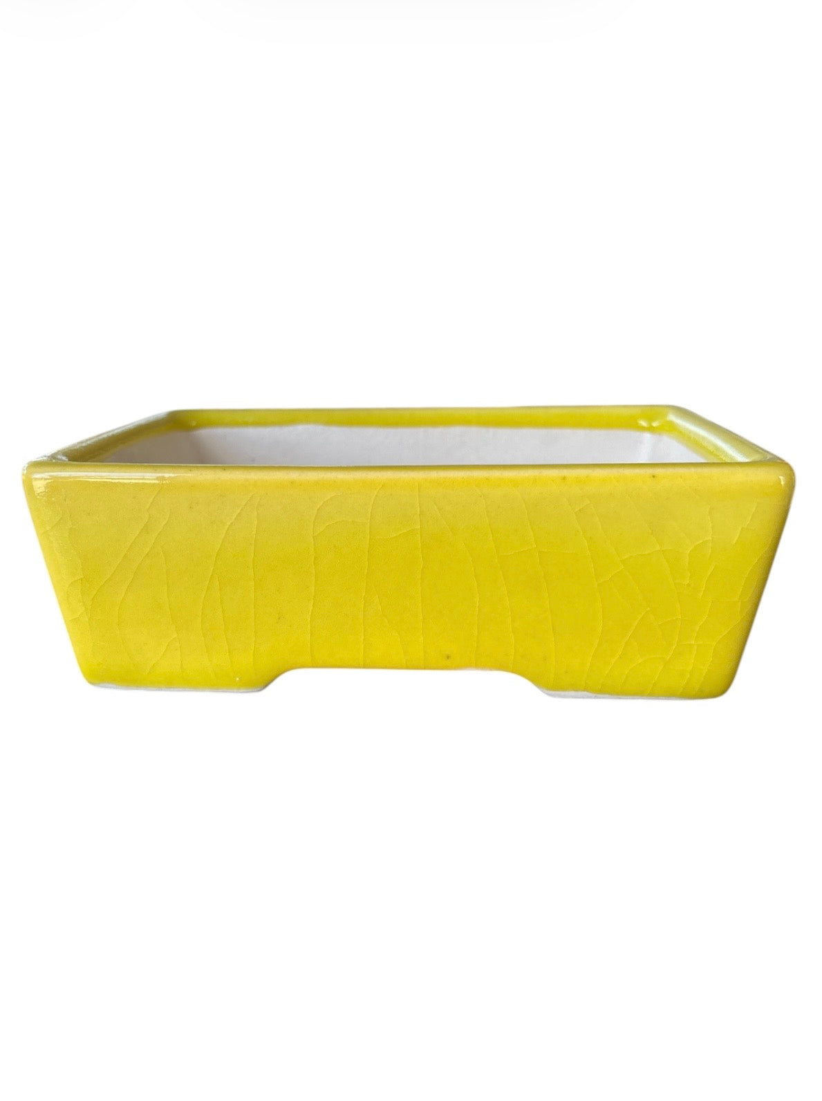 Pot rectangulaire (15*11*h5cm)