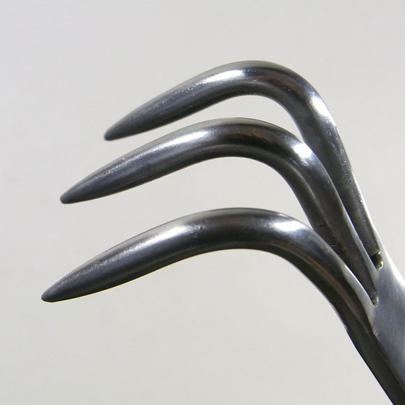 Griffe/Spatule renforcée Inox -250mm KANESHIN