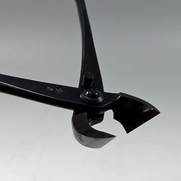 Pince concave droite 170mm Kaneshin® n°1A acier carbone