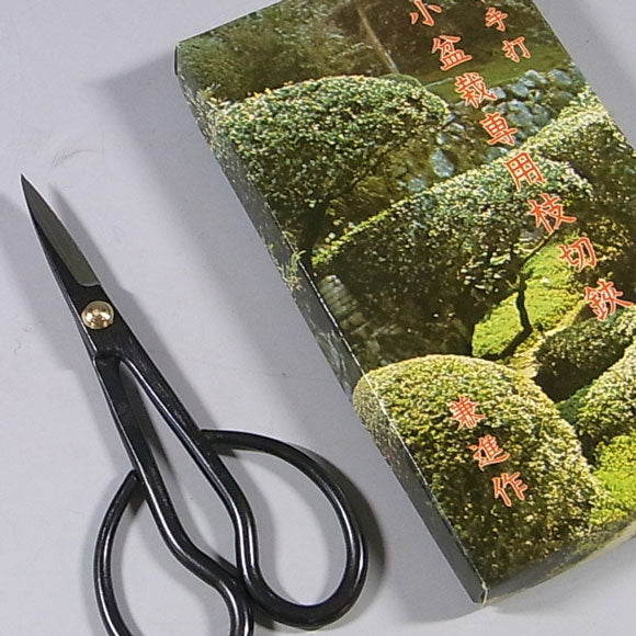 Ciseaux bonsaï 150mm Kaneshin® n°34A acier carbone