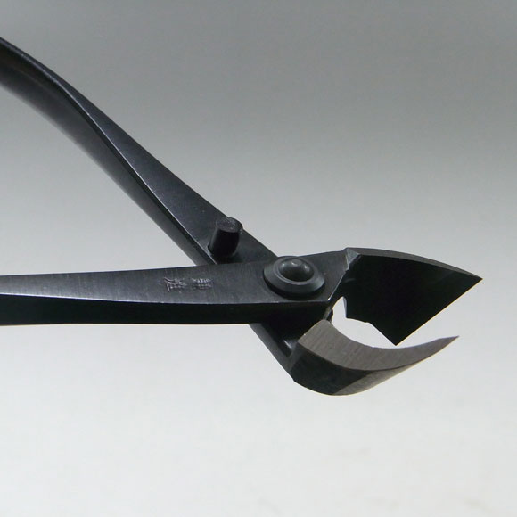Pince concave droite 170mm Kaneshin® n°1S acier carbone
