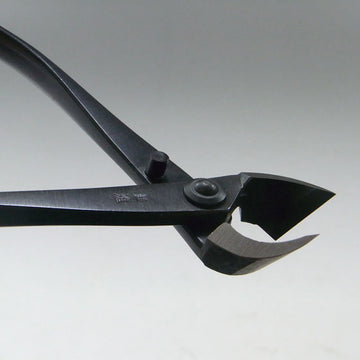 Pince concave droite 170mm Kaneshin® n°1S acier carbone