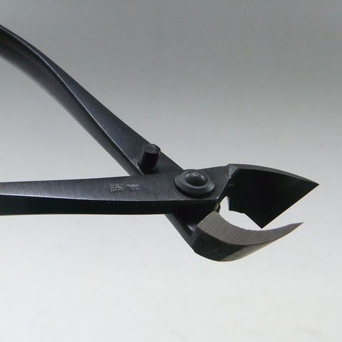 Pince concave droite 170mm Kaneshin® n°1S acier carbone