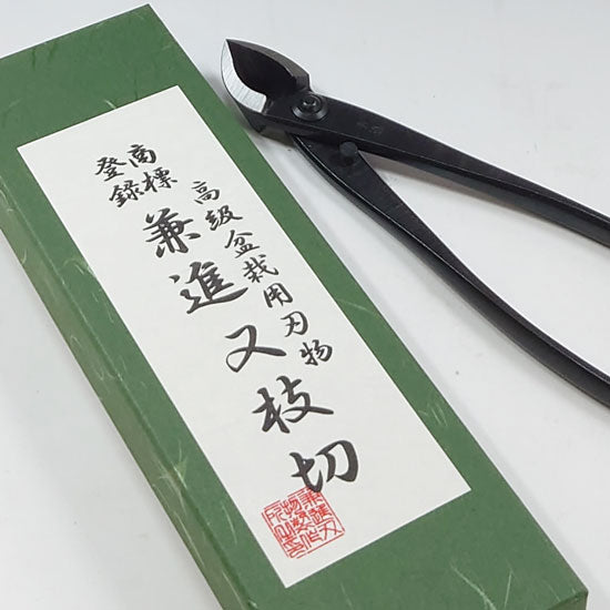 Pince concave droite 170mm Kaneshin® n°1S acier carbone