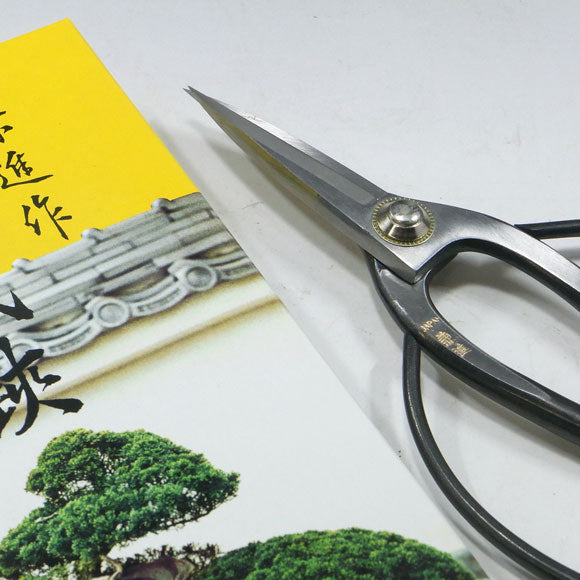 Ciseaux de paume bonsaï 185mm Kaneshin® n°40E acier carbone