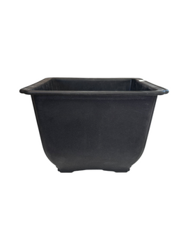 Pot bonsaï plastique carré (30*30*h20cm)
